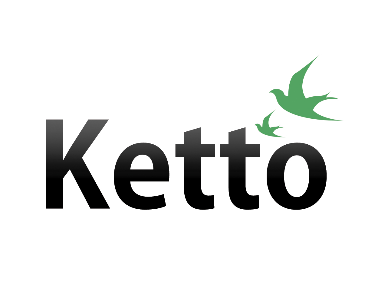 ketto-logo